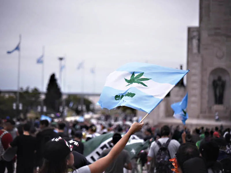 Lo que viene: el país debatirá la regulación del consumo de marihuana