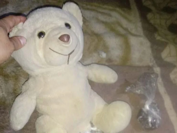 Los atrapan con 52 bochitas de cocaína y marihuana escondidas en un peluche