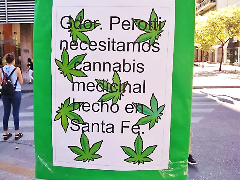 Cannabis medicinal: juntan firmas para que la provincia avance en la producción