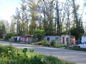 Villa Gobernador Gálvez: una mujer murió al caerse un árbol encima