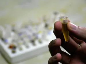 La provincia cubrirá los testeos de aceite de cannabis a familias de Santa Fe