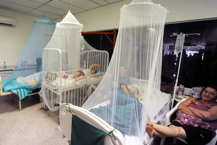 El gobierno desfinanció el Programa de Prevención y Control contra el dengue