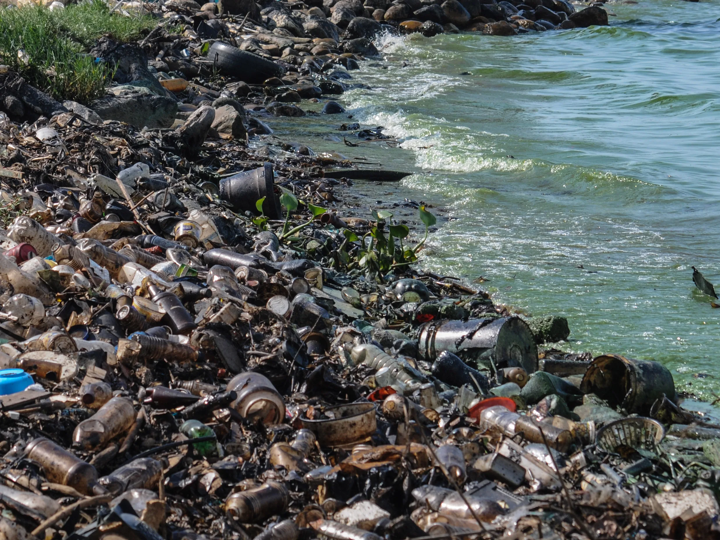 La lista del año: los diez “ecocidios” de 2019 en América Latina