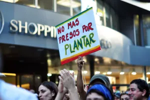 Presentan un acuerdo para regular legalmente el uso del cannabis en Rosario