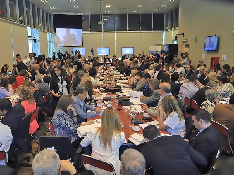 El Frente de Todos busca aprobar la emergencia en Diputados