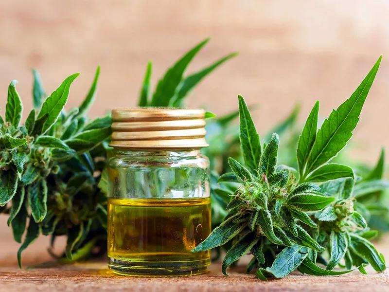Cannabis medicinal: profesionales y especialistas debatieron sobre su regulación
