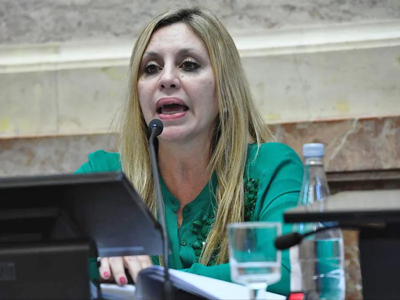 Sacnun: “Investigación de la deuda será similar a lo que significó la CONADEP"