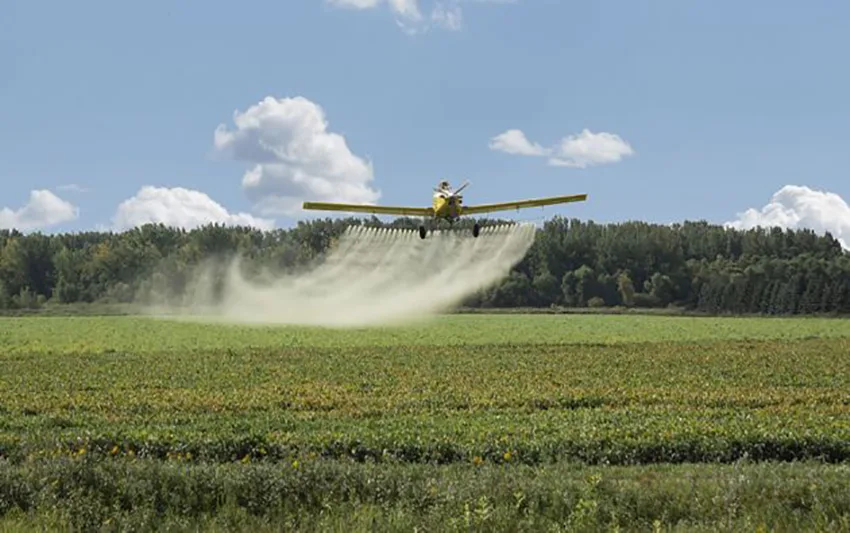 Ruta provincial 18: denuncian fumigación con agrotóxicos a menos de 100 metros de sus casas