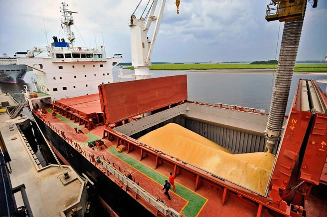 Cuatro empresas internacionales acaparan en Argentina el 50% de las exportaciones de granos