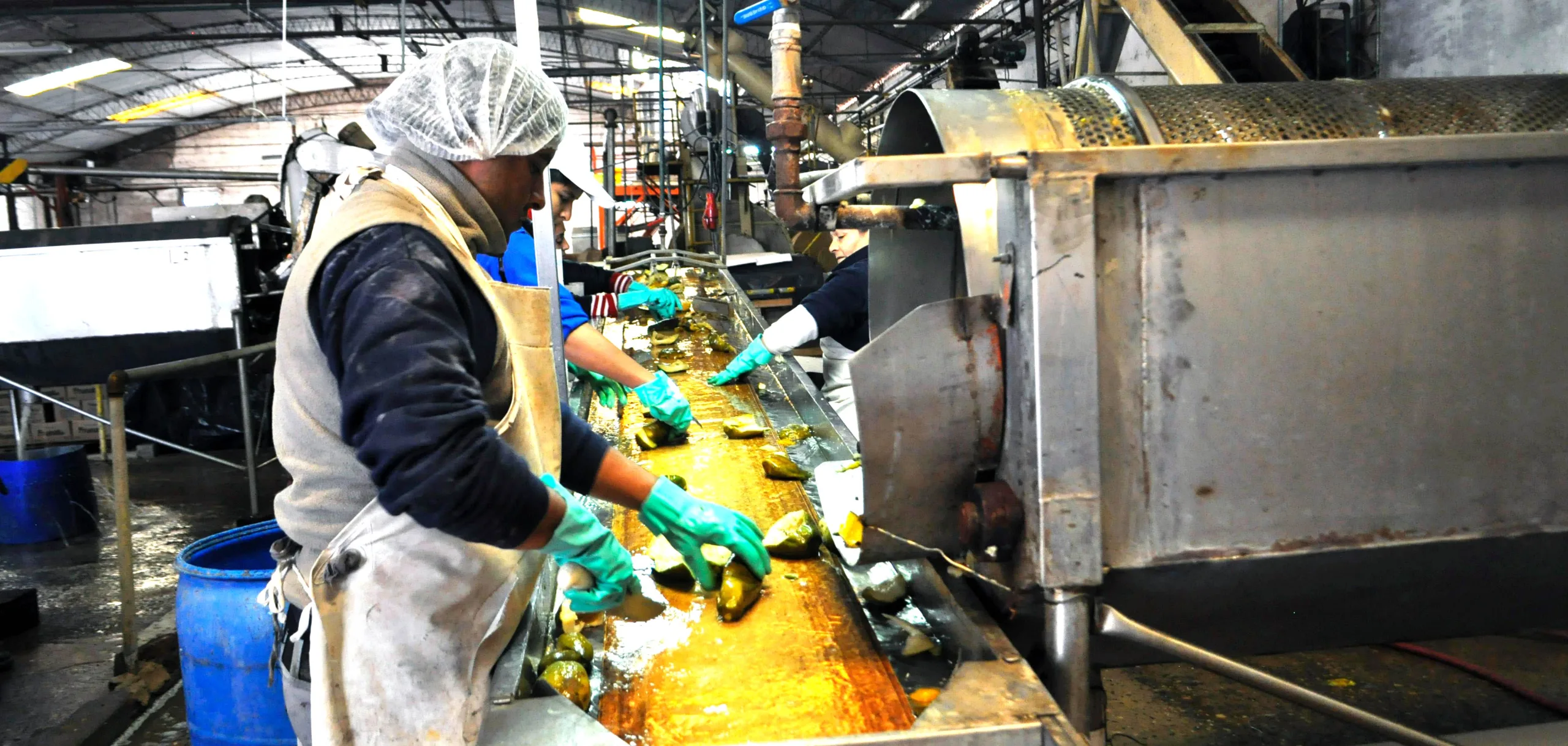 El sector cooperativo explica cerca de 10% del PBI con más de 15.000 emprendimientos