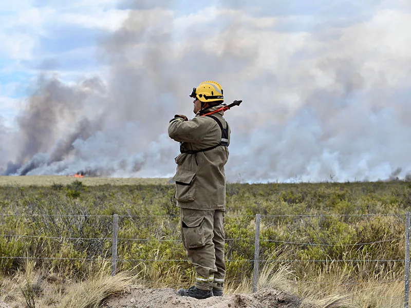 Delta en llamas: dos centenares de brigadistas combaten focos en Victoria, Gualeguay, Baradero y Zárate