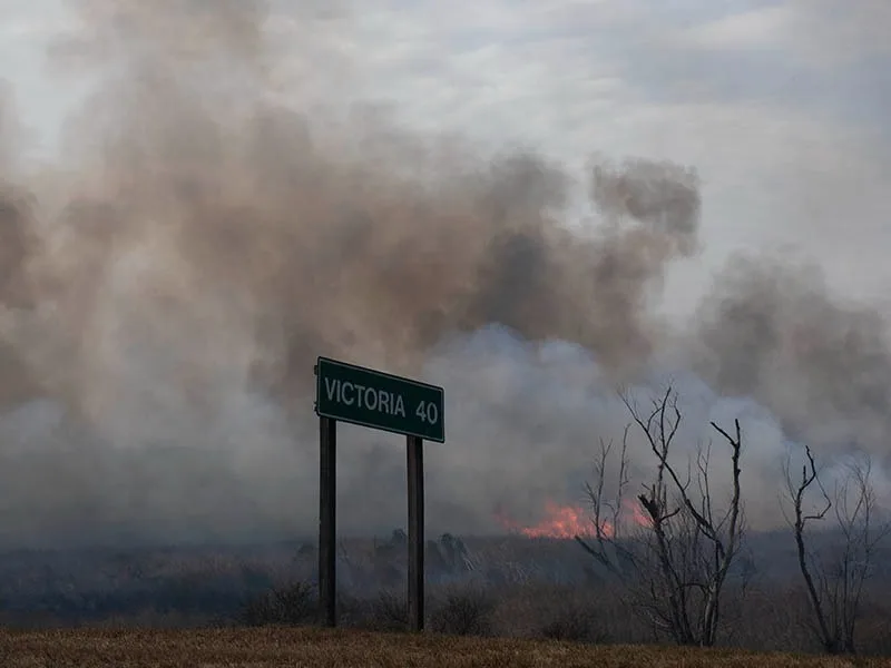 Pedirán restringir la circulación en el puente Rosario-Victoria por fauna que huye de los incendios