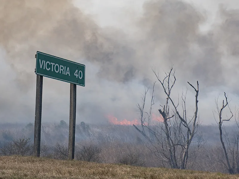 Continúan los incendios forestales en las islas del Delta del río Paraná