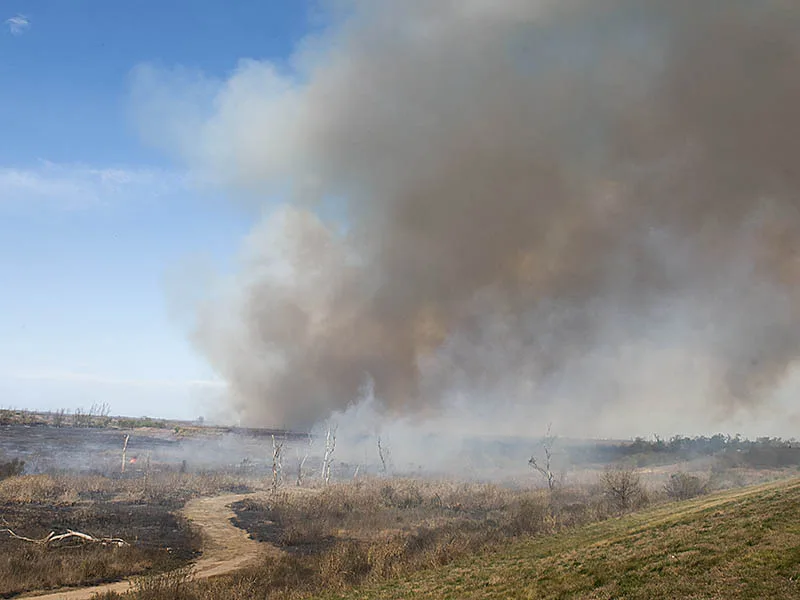 Detuvieron a otras tres personas acusadas de provocar incendios en el Delta