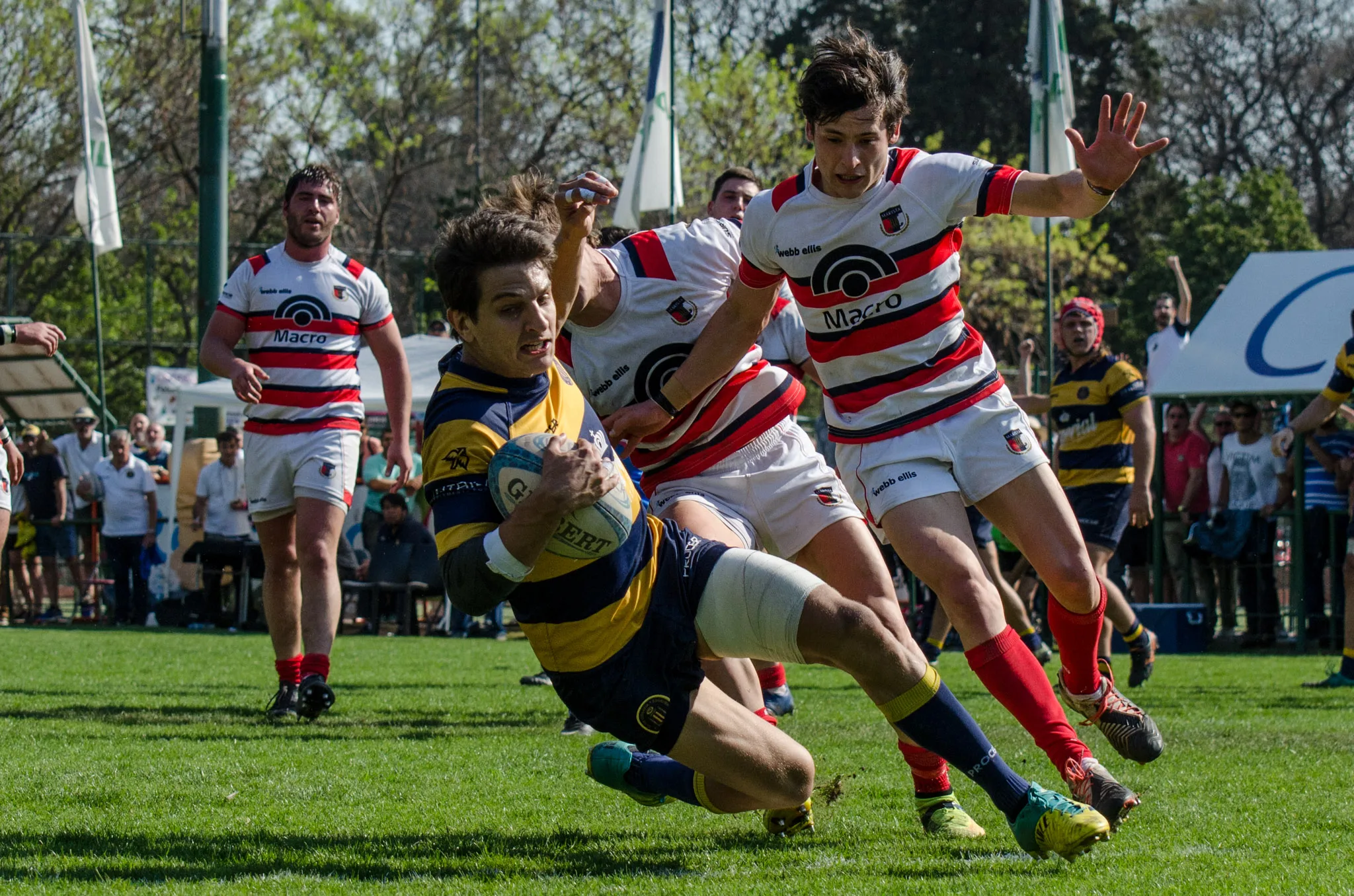 Los torneos regionales están a un try de definir qué equipos jugarán la ansiada competencia federal