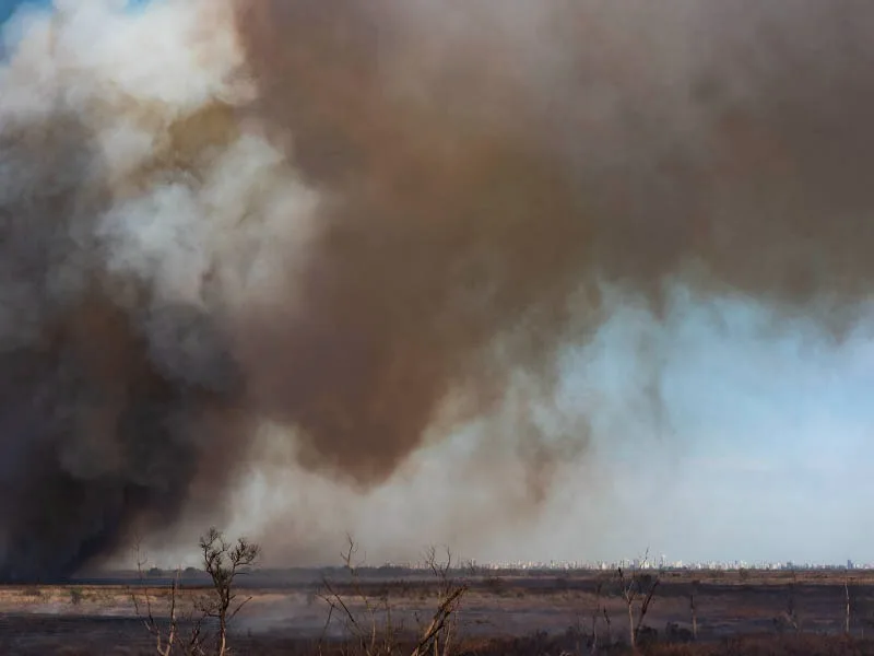 Hay focos de incendios forestales en Entre Ríos, Buenos Aires, San Luis y Catamarca