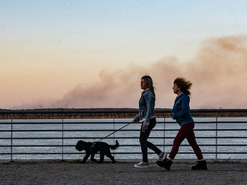 Galería de fotos de los incendios en las islas: fuego, daño irreparable y humo
