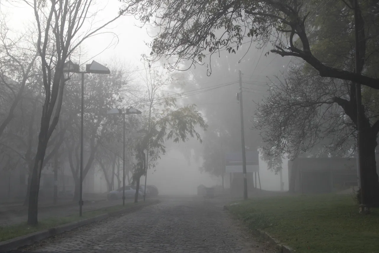 Respirar aire envenenado: según UNR, niveles 17 veces superiores al límite fijado por OMS en Rosario