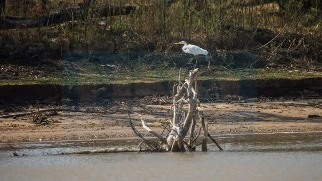 Los humedales ocupan el 21,5% del territorio argentino