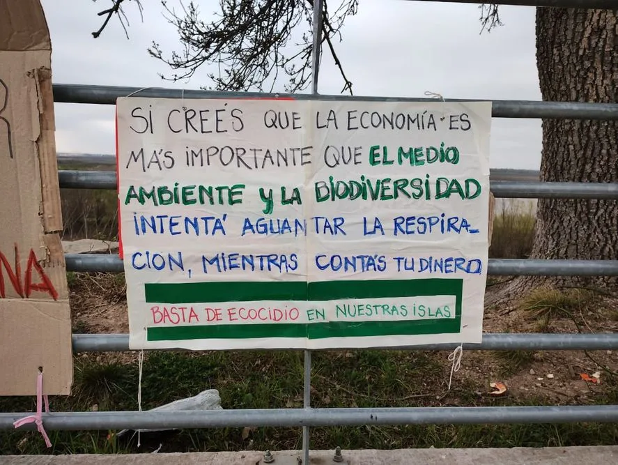 Incendios en las islas: en el norte bonaerense también padecen las quemas en el Delta
