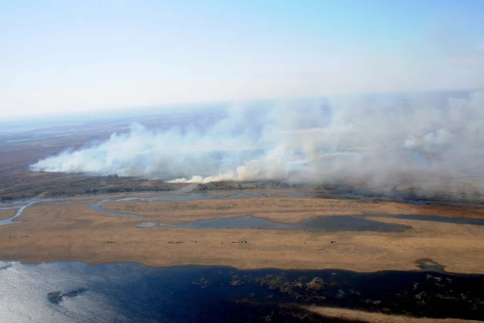 Delta en llamas: focos activos en Gualeguay y Baradero y controlados en Diamante y Victoria