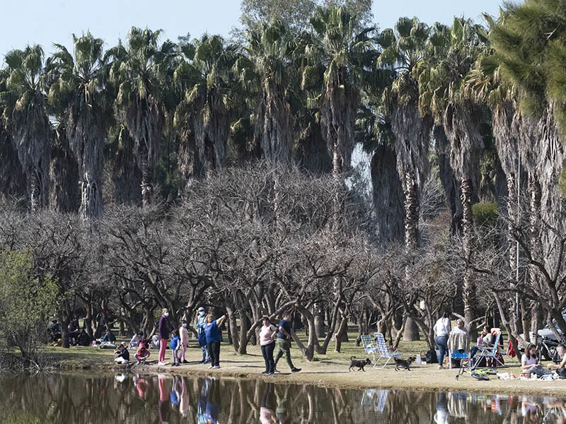 El Bosque de los Constituyentes se convertirá en Aula Viva para experimentar sobre soberanía alimentaria y huerta urbana