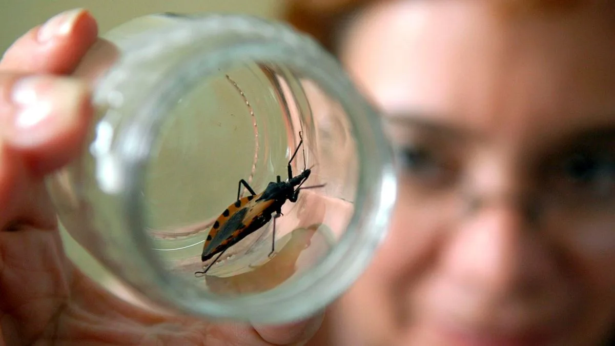 La provincia conmemora el día nacional por una Argentina sin Chagas