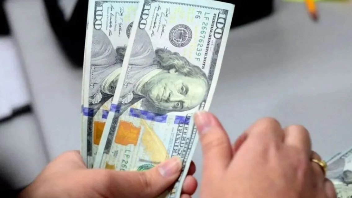 Subsidios a la energía: 18 mil usuarios se dieron de baja por dólar ahorro