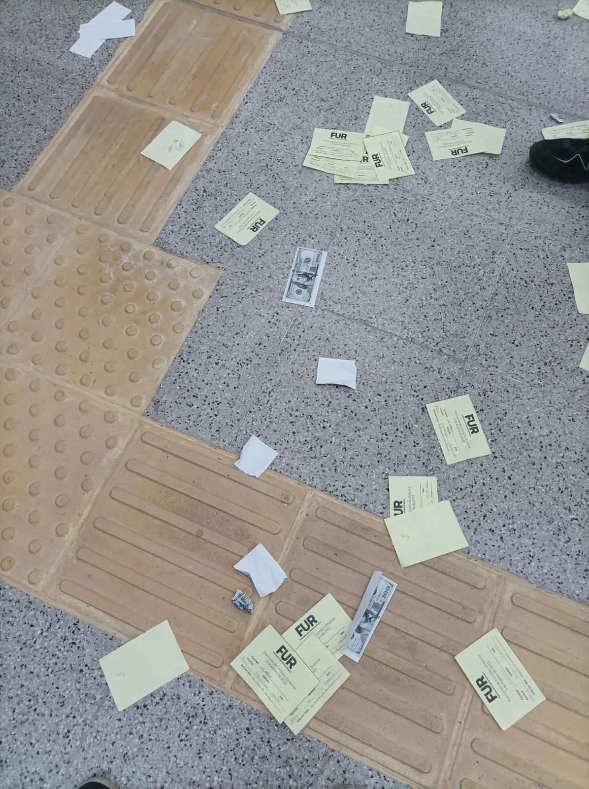 Franja Morada ganó la Federación Universitaria de Rosario y lo festejó arrojando dólares ficticios