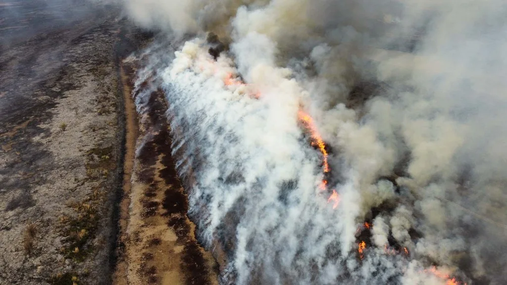Bordet cruzó a Cabandié por los incendios en el Delta del Paraná y lo mandó a "trabajar"