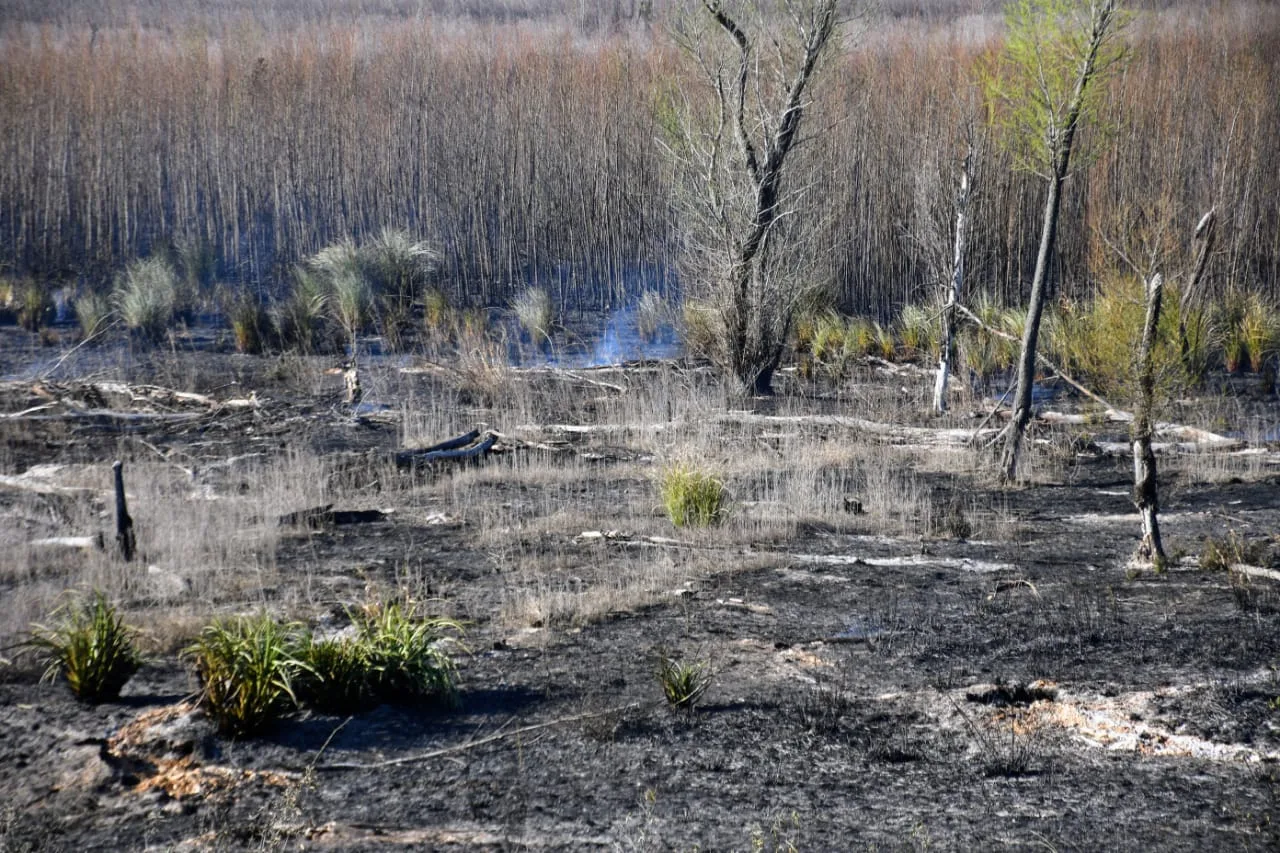 Entre Ríos instaló un nuevo comando de operaciones para combatir incendios en islas del Paraná