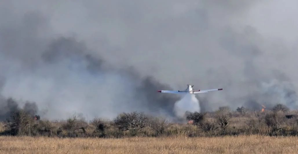Ambiente denunciará a los dueños de los campos donde se iniciaron los incendios en las islas