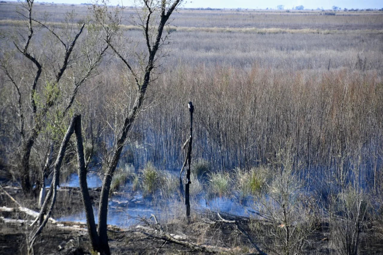Tras declarar en la Justicia, siguen detenidos los acusados de iniciar un incendio en las islas