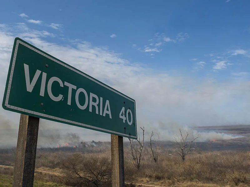 Incendios en el Delta del Paraná: siguen activos importantes focos en Victoria