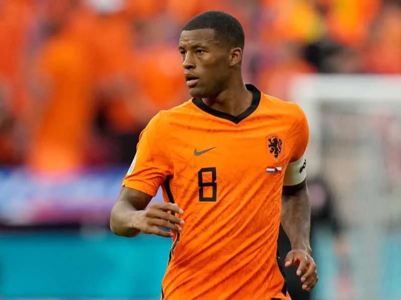 Malas noticias en Países Bajos: Wijnaldum se fracturó la tibia y peligra su presencia en el Mundial