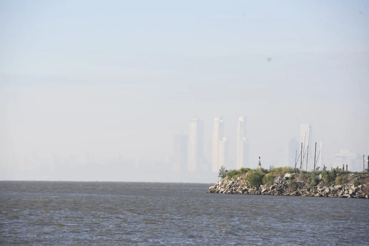 Viceministro de Ambiente, sobre las quemas en las islas: "Hay inacción de la Justicia"