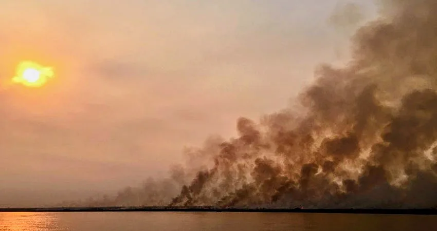 Entre Ríos asegura que las causas de incendios en el delta de Paraná son "todas por acción humana"