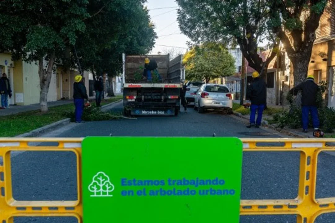 Para no meterte con el auto: habrá cortes y desvíos por trabajos de poda del miércoles al domingo