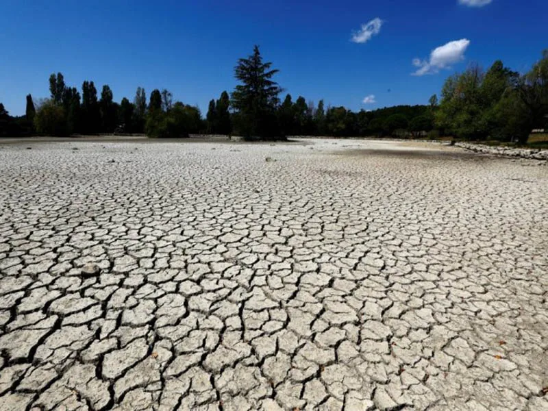 Europa afronta la peor sequía en por lo menos 500 años
