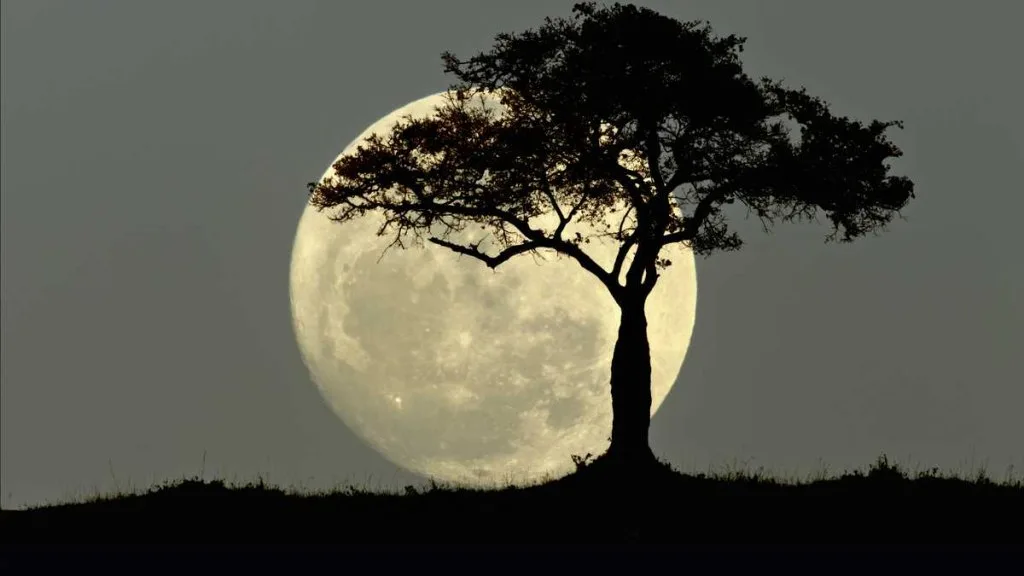 Cuándo y dónde se podrá ver la última Superluna del año