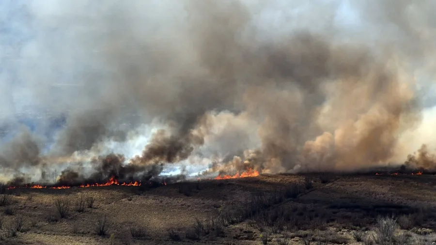 Demandaron a propietarios de tierras en Entre Ríos que se incendian desde hace años