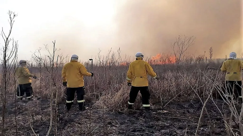Delta en llamas: extinguieron focos en Victoria pero son innumerables en Gualeguay