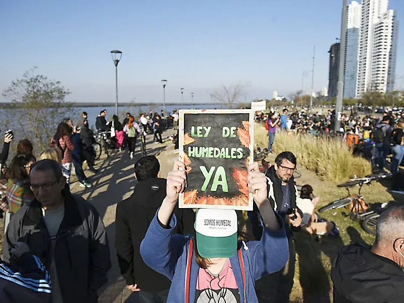 Se discute la Ley de Humedales con ausencia de mayoría de Juntos por el Cambio
