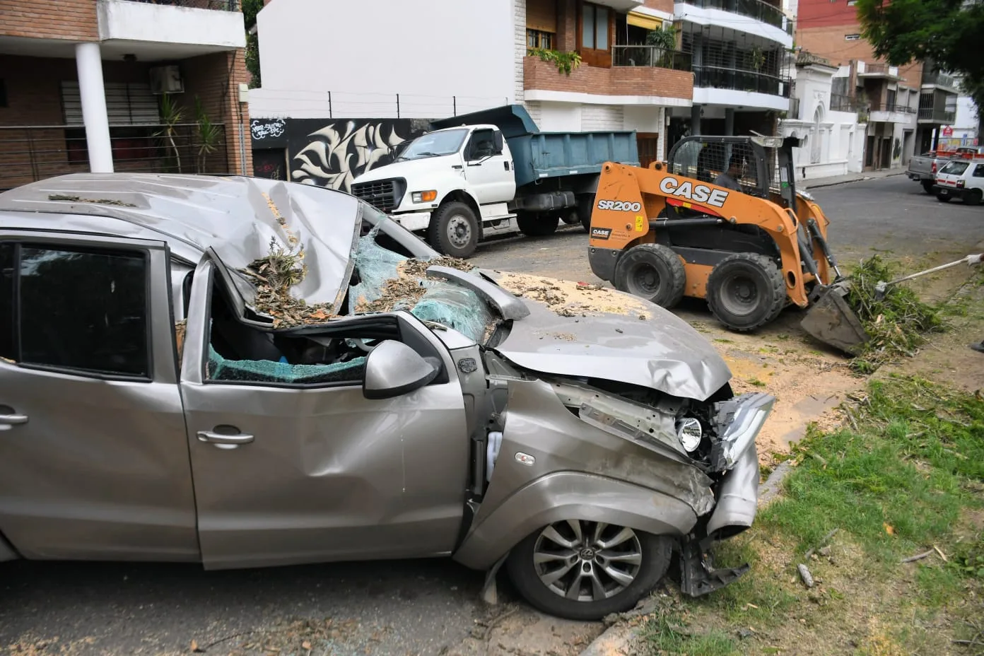 Un árbol de gran porte cayó sobre un auto en el Parque Urquiza