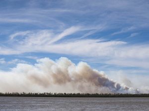 Delta en llamas: tras las lluvias, volvió el fuego, ahora frente a Coronda