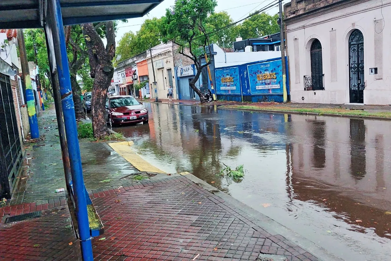 Lo de siempre: calles anegadas, árboles caídos y cortes de energía eléctrica en Rosario