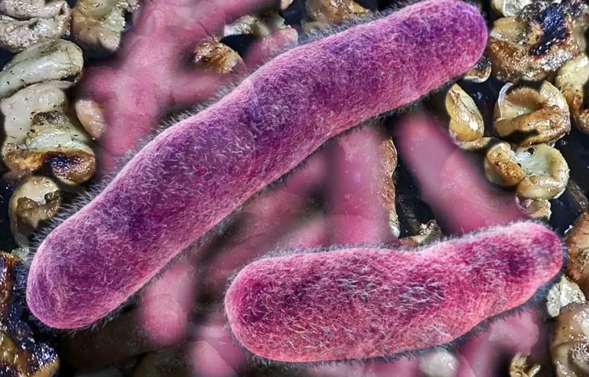 Que no haya pánico: las intoxicaciones por bacterias en carne sólo son en Berazategui