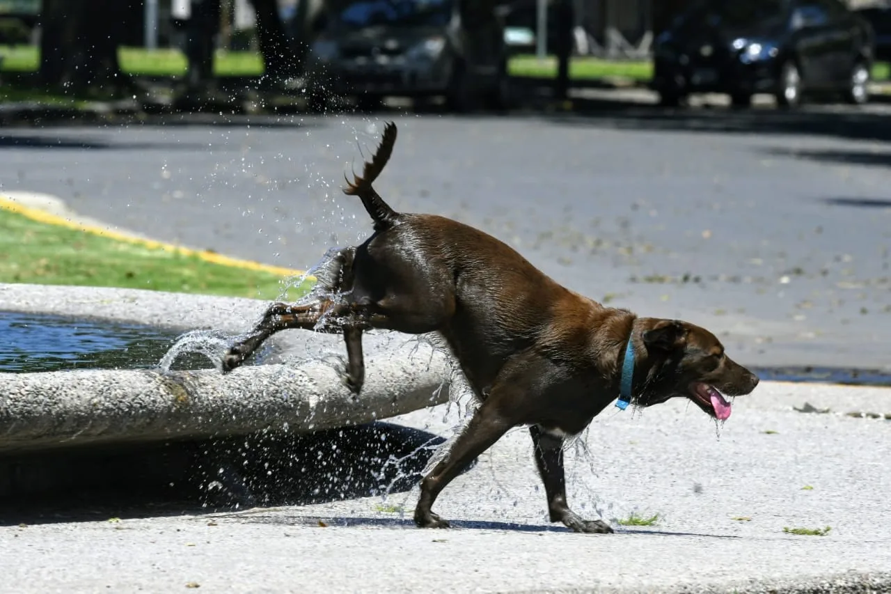 Jueves con mucho calor y cielo de algo a parcialmente nublado