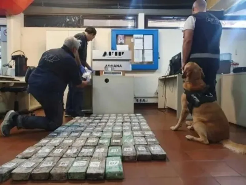 Secuestran un camión cargado con maíz y además con 87 kilos de cocaína