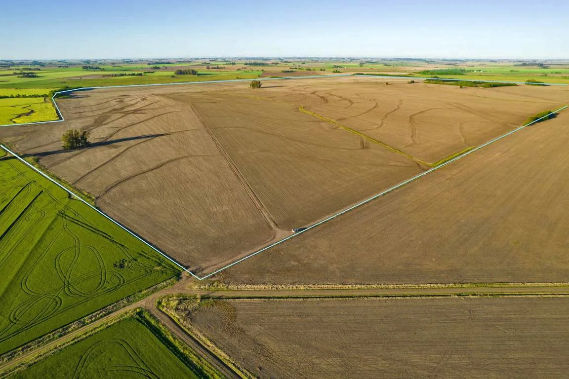 Juan Manuel Rossi, de la Mesa Agroalimentaria: "En Argentina se reconoce que hay dos campos"